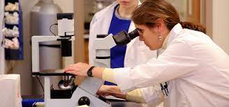 Bachelor of Science (Bio)