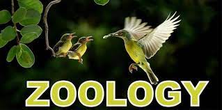 Master of Science (Zoology)